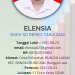 Sarjana Ekonomi Jadi Guru Kelas